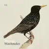 Muntjac - Watchmaker - Single